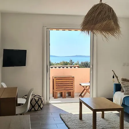 Giedes Pour 4 Personnes Avec Vue Face A Porquerolles Et Piscine Situe A Giens Lejlighed